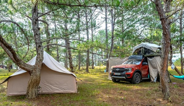 Quels sont les conseils pour un camping en forêt de pins en été sans attirer les tiques?